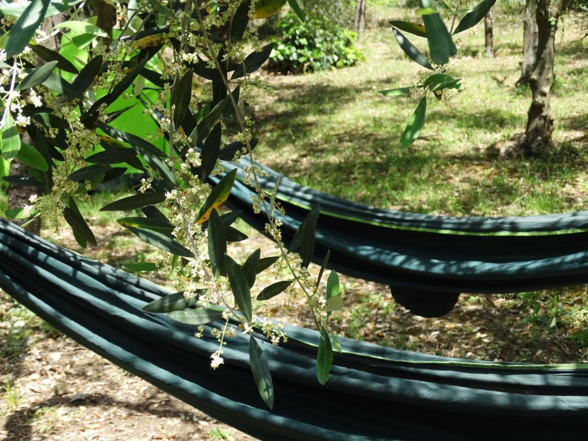 סן קאסיאנו ב-ואל די פזה Poggio House, Tranquillita E Comfort Nella Natura מראה חיצוני תמונה