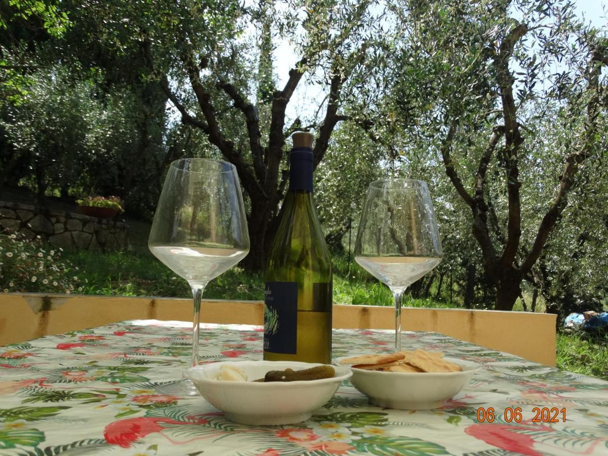 סן קאסיאנו ב-ואל די פזה Poggio House, Tranquillita E Comfort Nella Natura מראה חיצוני תמונה