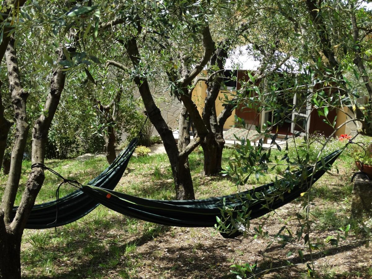 סן קאסיאנו ב-ואל די פזה Poggio House, Tranquillita E Comfort Nella Natura מראה חיצוני תמונה
