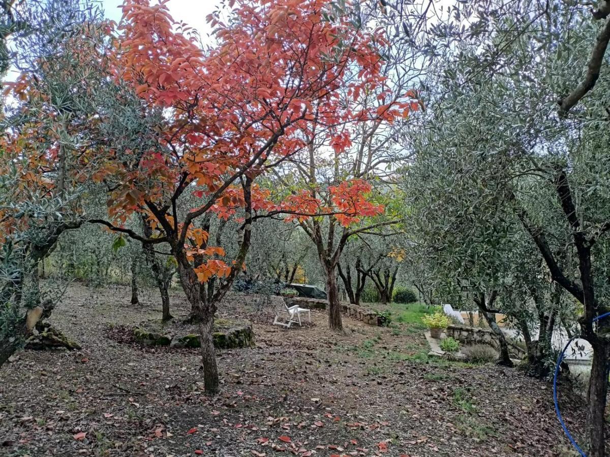סן קאסיאנו ב-ואל די פזה Poggio House, Tranquillita E Comfort Nella Natura מראה חיצוני תמונה