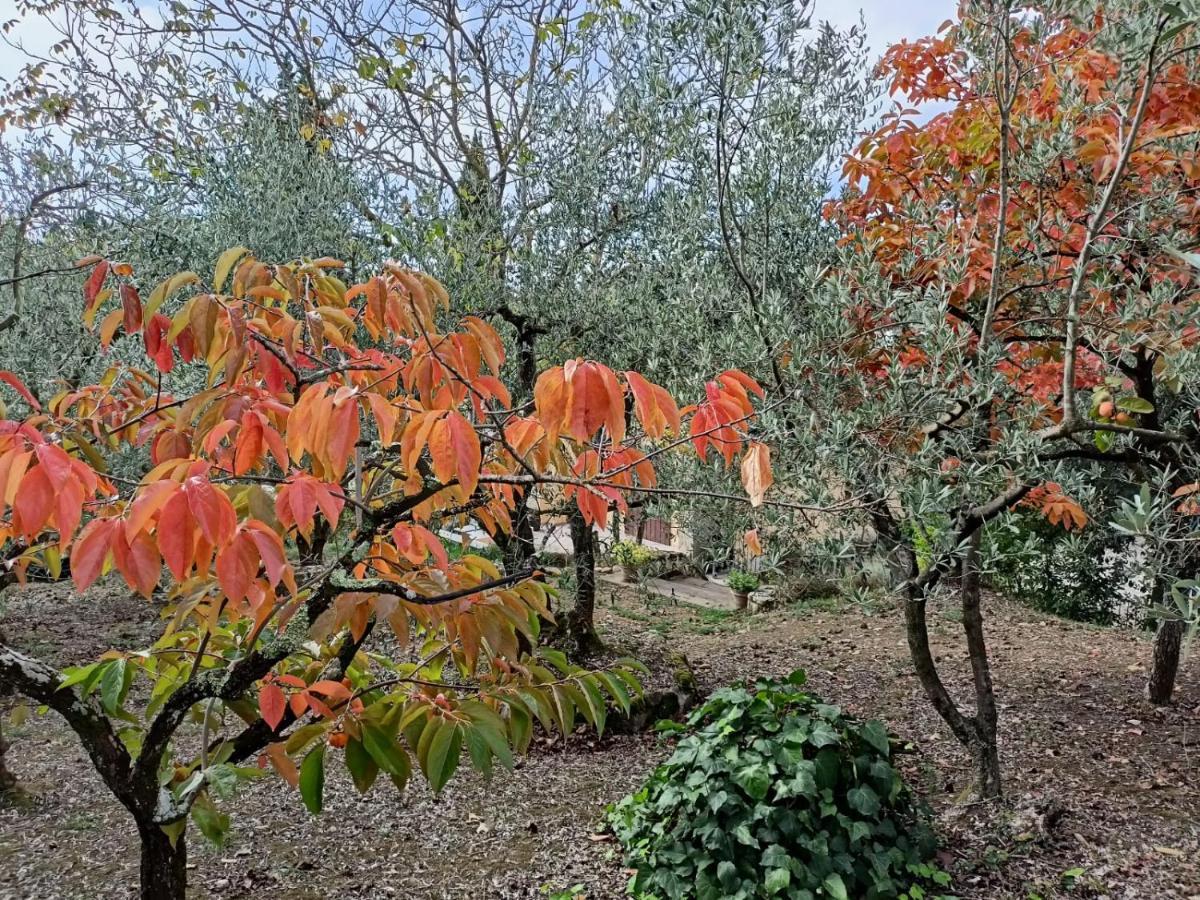 סן קאסיאנו ב-ואל די פזה Poggio House, Tranquillita E Comfort Nella Natura מראה חיצוני תמונה