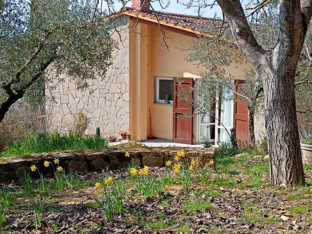 סן קאסיאנו ב-ואל די פזה Poggio House, Tranquillita E Comfort Nella Natura מראה חיצוני תמונה