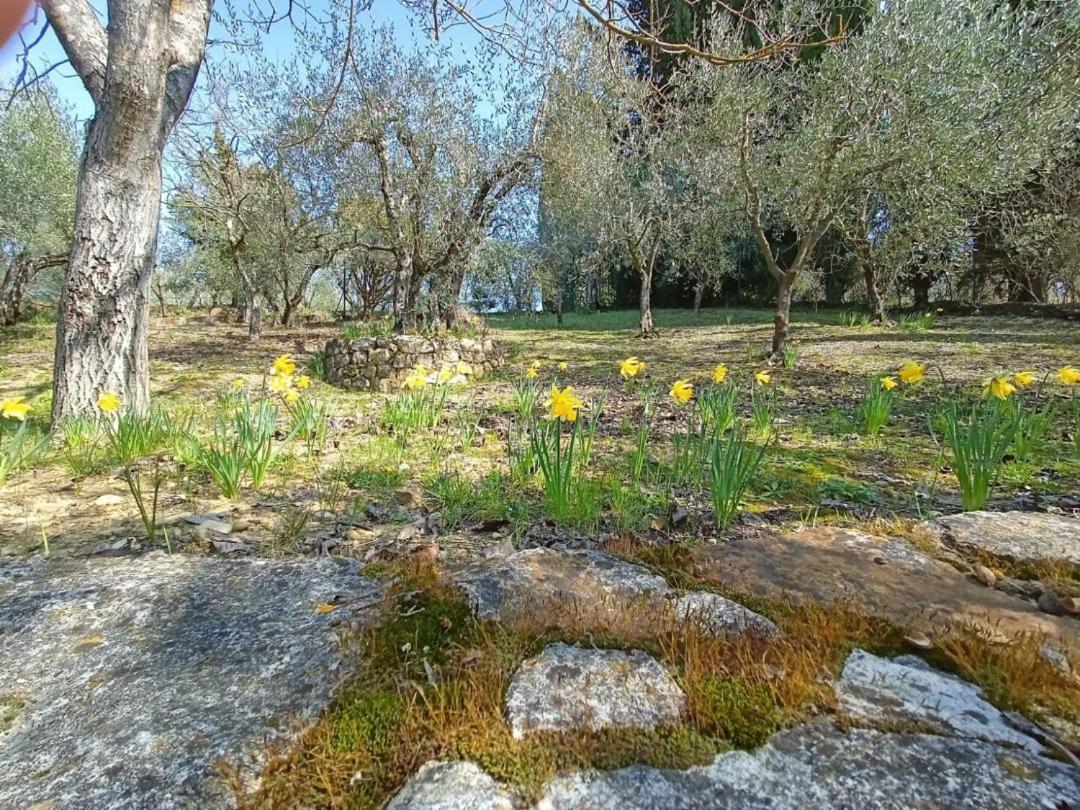 סן קאסיאנו ב-ואל די פזה Poggio House, Tranquillita E Comfort Nella Natura מראה חיצוני תמונה